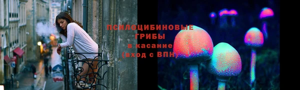 ALPHA PVP Белокуриха
