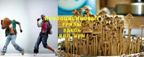 спиды Белоозёрский